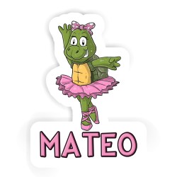 Ballerinas Aufkleber mit dem Namen Mateo