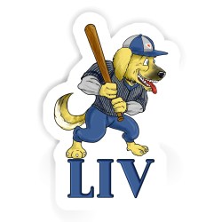 Baseball-Hunde Aufkleber mit dem Namen Liv