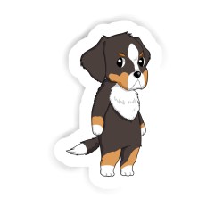 Berner Sennenhund Sticker mit dem Namen Paula