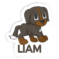 Berner Sennenhunde Aufkleber mit dem Namen Liam