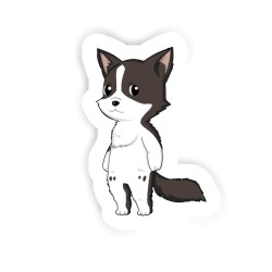 Border Collie Sticker mit dem Namen Luan