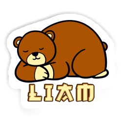 Bären Aufkleber mit dem Namen Liam