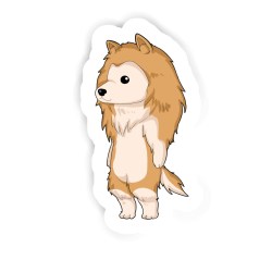 Collie Sticker mit dem Namen Lars