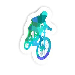 Freeride Biker Sticker mit dem Namen Ayla