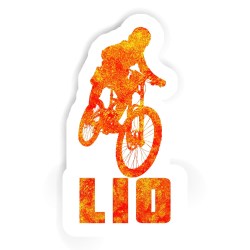 Freeride Biker Aufkleber mit dem Namen Lio
