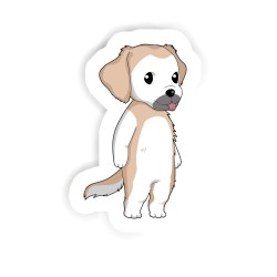 Golden Retriever Sticker mit dem Namen Louis