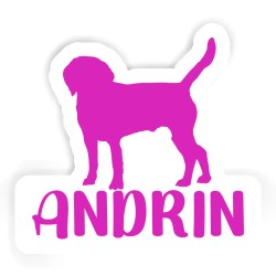 Hunde Aufkleber mit dem Namen Andrin