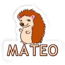 Igel Aufkleber mit dem Namen Mateo