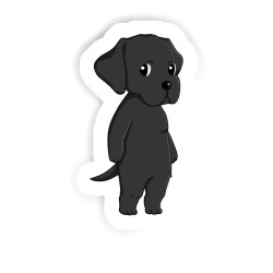 Labrador Sticker mit dem Namen Fiona