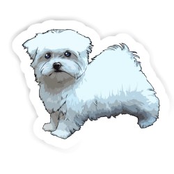 Malteserhund Sticker mit dem Namen Lucas