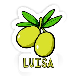 Oliven Aufkleber mit dem Namen Luisa
