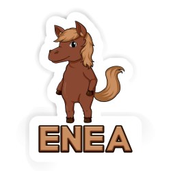 Pferde Aufkleber mit dem Namen Enea