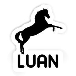 Pferde Aufkleber mit dem Namen Luan