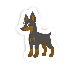 Pinscher Sticker mit dem Namen Lio