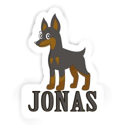 Pinscher Aufkleber mit dem Namen Jonas