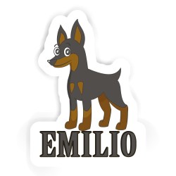 Pinscher Aufkleber mit dem Namen Emilio