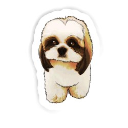 Shih Tzu Sticker mit dem Namen Kian