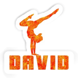 Yoga-Frauen Aufkleber mit dem Namen David